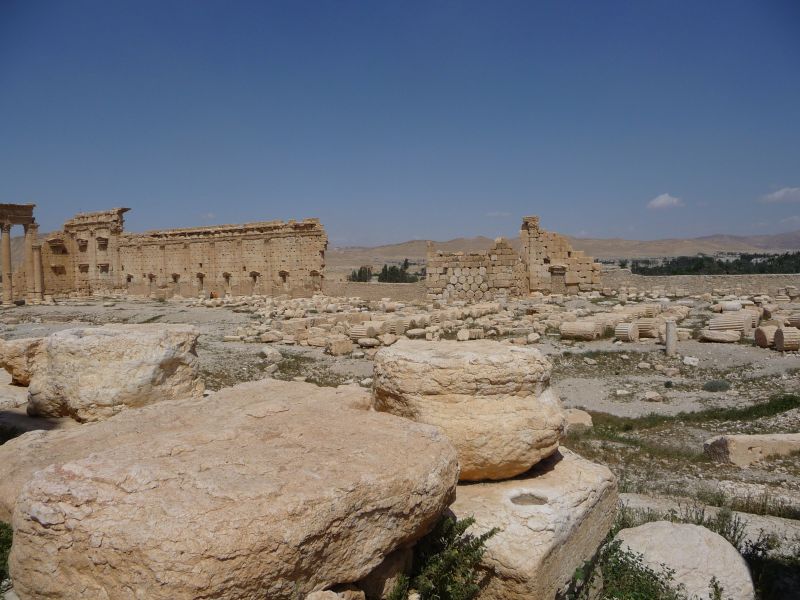 P1030544.JPG